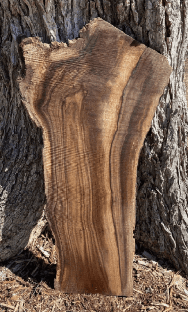 Walnut Live Edge Slabs ,3/4-1 1/2 x 6-10 Wide x 48 Long