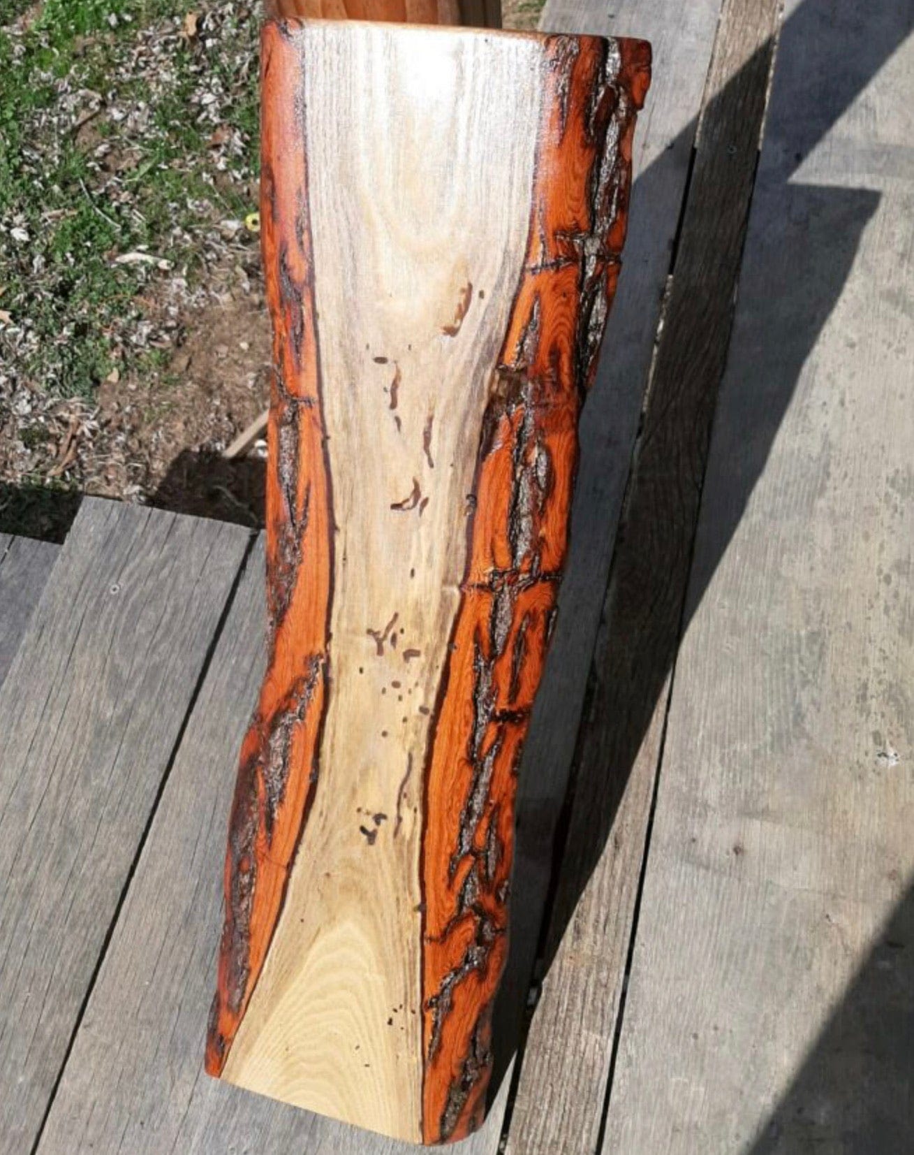 Sassafras Live Edge Slabs, Aromatic Wood, Unique Wood